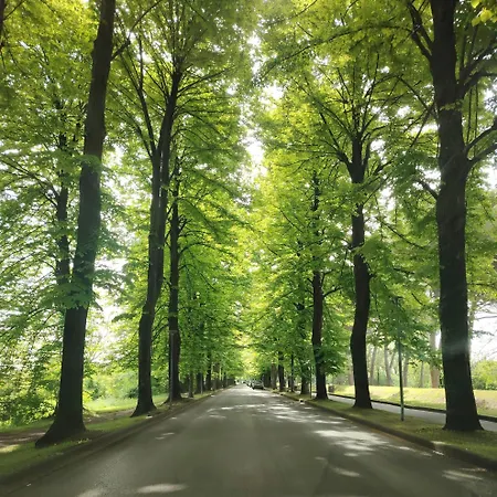 Guest house Dolce Dormire Pisa